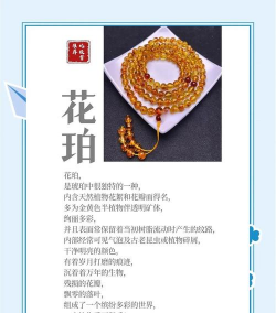 玫瑰花怎么养才不会枯萎，掌握浇水施肥技巧，轻松延长花期