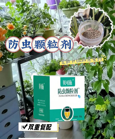 家庭养花用生根粉