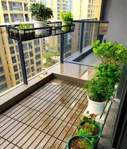 无土栽培技术，突破土壤限制，开启高效种植新篇章