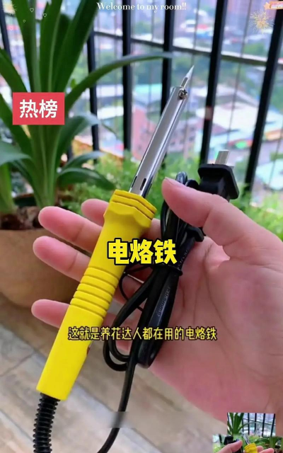 家庭养花用生根粉