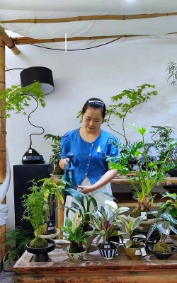 家庭养花用生根粉