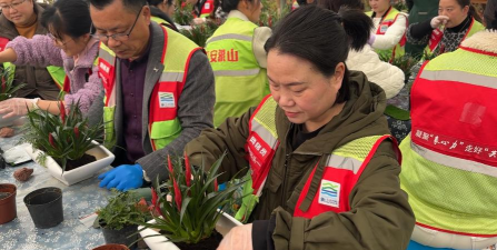 家庭养花用生根粉