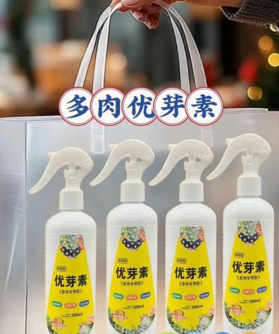 家庭养花用生根粉