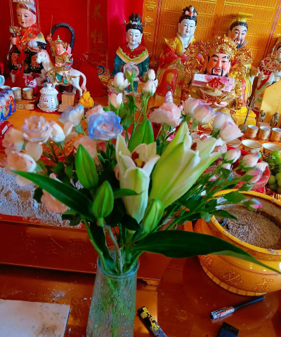 家庭养花用生根粉