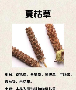 枯草碎可以养花吗