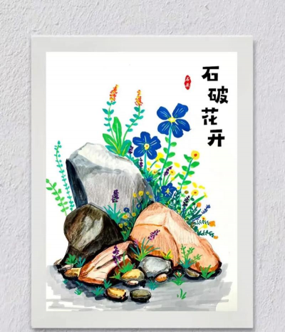 家庭养花用生根粉