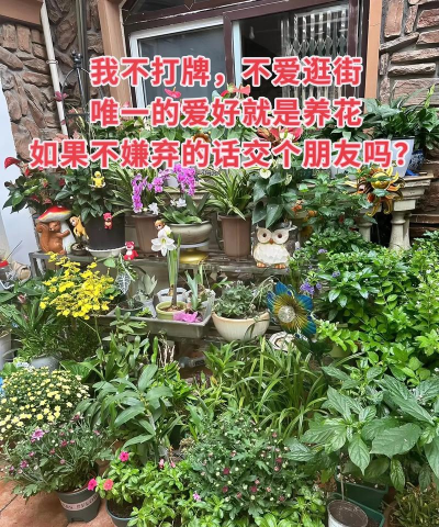 庭院景观绿化设计，打造舒适空间，提升生活品质