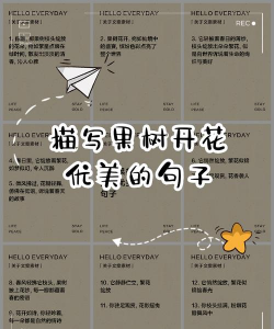 庭院景观绿化设计，打造舒适空间，提升生活品质