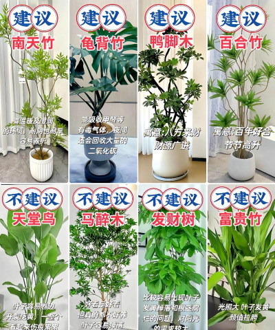 庭院景观绿化设计，打造舒适空间，提升生活品质