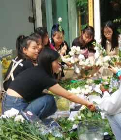 家庭养花用生根粉