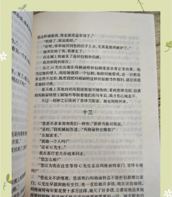 爱养花的可可小说