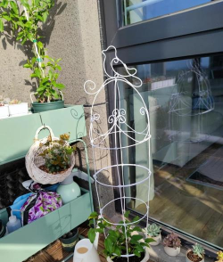 养花铁丝支架怎么用