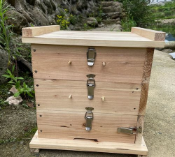 杉木蜂箱土养花好吗