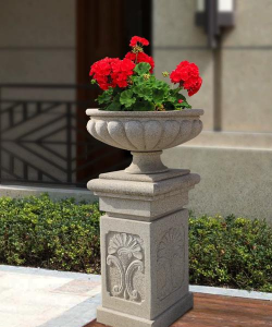 柿树虫病防治，识别常见虫害，掌握有效方法