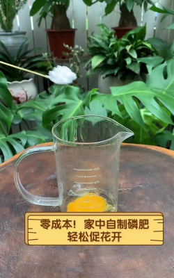 庭院景观绿化设计，打造舒适空间，提升生活品质