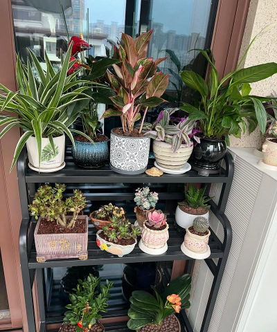 庭院景观绿化设计，打造舒适空间，提升生活品质