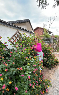 家庭养花用生根粉