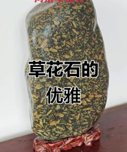 养花的石头叫啥