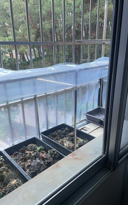 家庭养花用生根粉