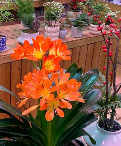 绿化景观设计，提升环境品质，创造宜人空间