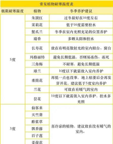 绿化景观设计，提升环境品质，创造宜人空间