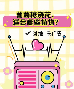 绿化景观设计，提升环境品质，创造宜人空间