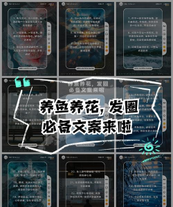 不养花不养鱼语录