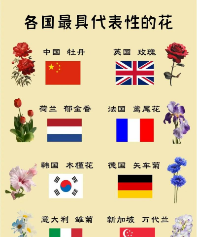国花是什么花