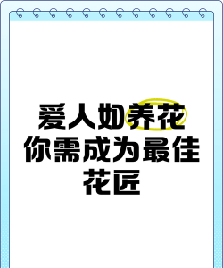 绯花玉怎么养，掌握关键技巧，轻松养出好状态