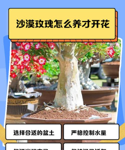 别墅园林绿化设计，打造私密空间，提升居住品质