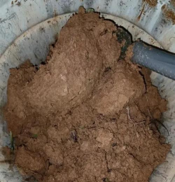 葡萄栽培，掌握关键技术，实现优质丰产