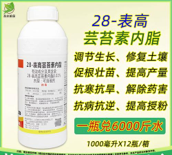 葡萄栽培，掌握关键技术，实现优质丰产