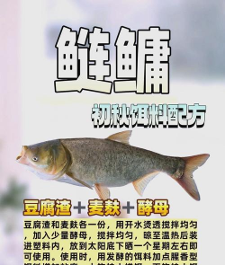 葡萄栽培，掌握关键技术，实现优质丰产