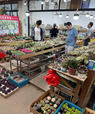 养花店能卖什么