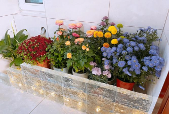 栀子花怎么养，掌握浇水技巧，避免黄叶掉苞