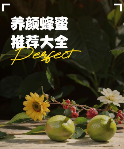 芍药花怎么养，掌握关键要点，花开更鲜艳