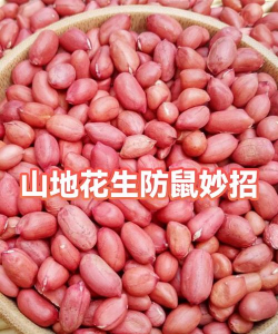 柿树虫病防治，识别常见虫害，掌握有效方法