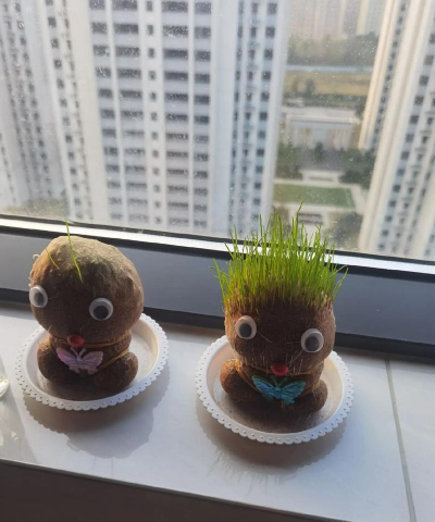养花娃娃长草娃娃