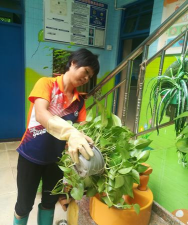 家庭养花用生根粉