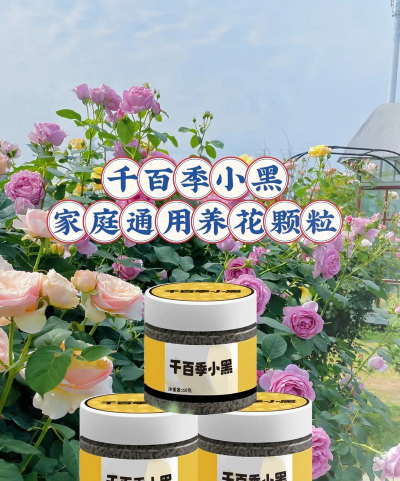 家庭养花用生根粉