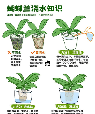 栽培的意思，核心概念，通俗理解