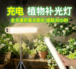 芍药花怎么养，掌握关键要点，花开更鲜艳