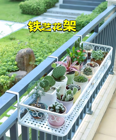 芍药花怎么养，掌握关键要点，花开更鲜艳