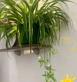 别墅园林绿化设计，打造私密空间，提升居住品质