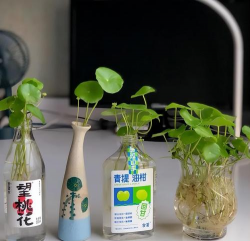 绿化景观设计，提升环境品质，创造宜人空间