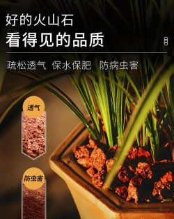 绿化景观设计，提升环境品质，创造宜人空间