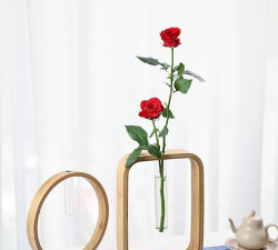 无土栽培技术，突破土壤限制，开启高效种植新篇章