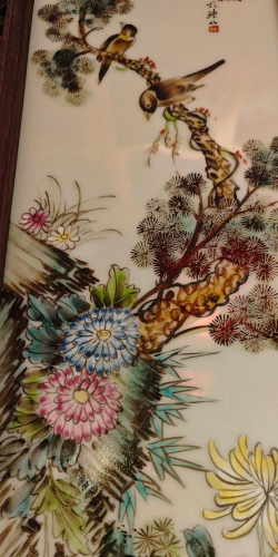 葛景云养花心得