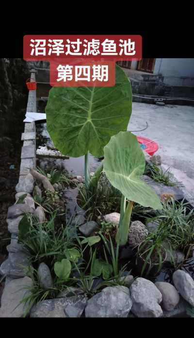 别墅园林绿化设计，打造私密空间，提升居住品质