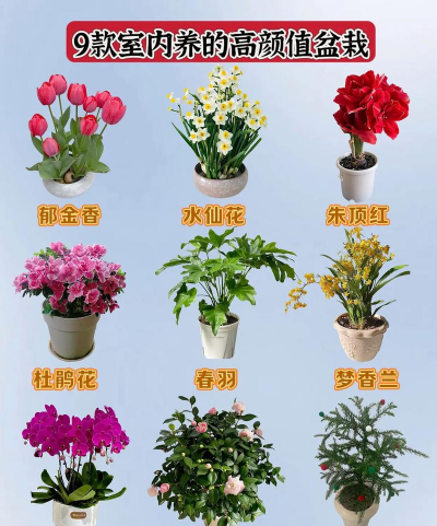 别墅园林绿化设计，打造私密空间，提升居住品质